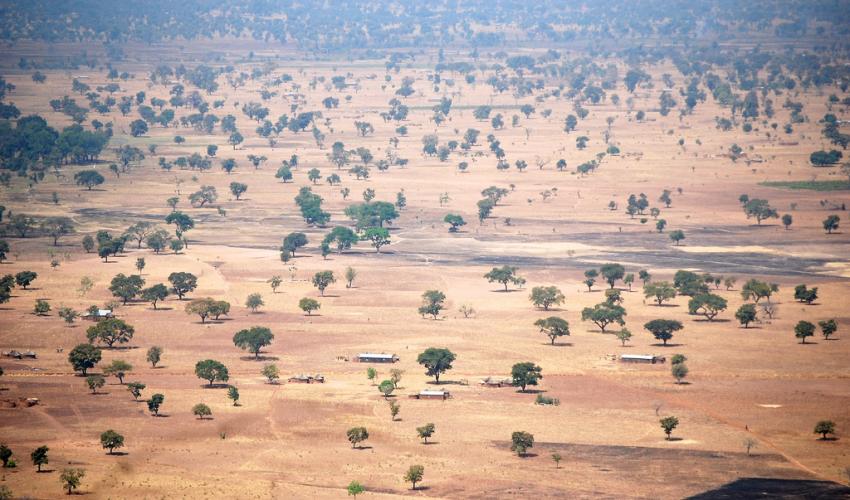 alberi-burkina