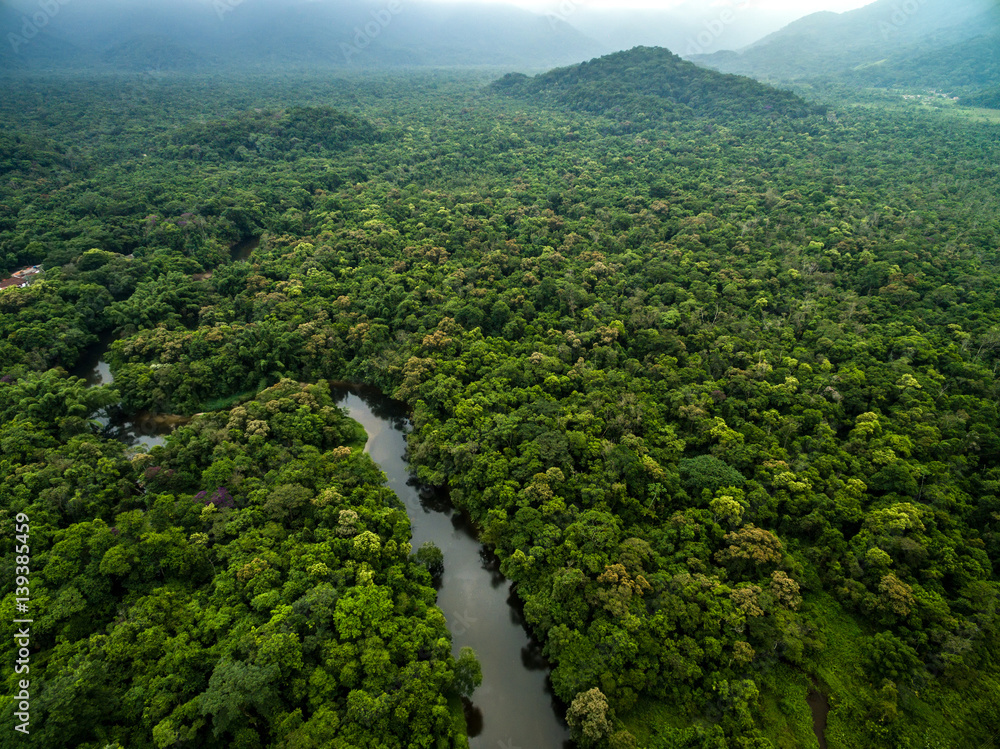 Deforestazione: effetti del regolamento UE sui Paesi produttori in Africa 1 deforestazione - La foresta pluviale della Repubblica Democratica del Congo