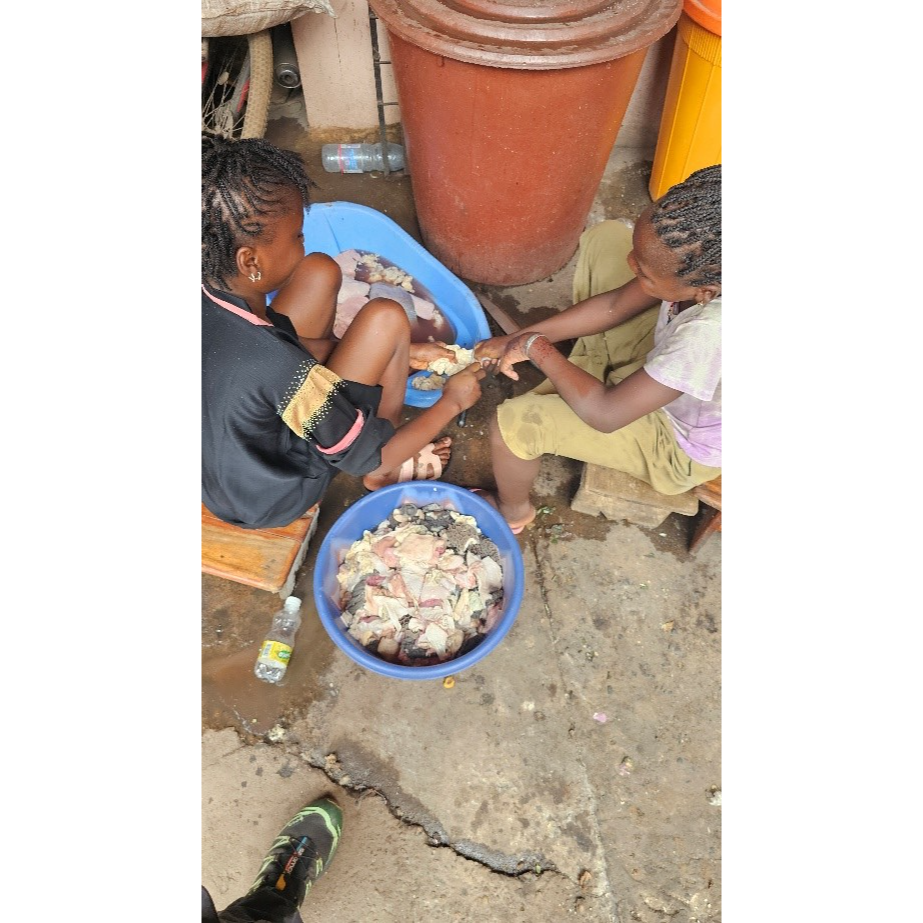 Tabaski a Bamako: fede, famiglia e montoni 5 image 5
