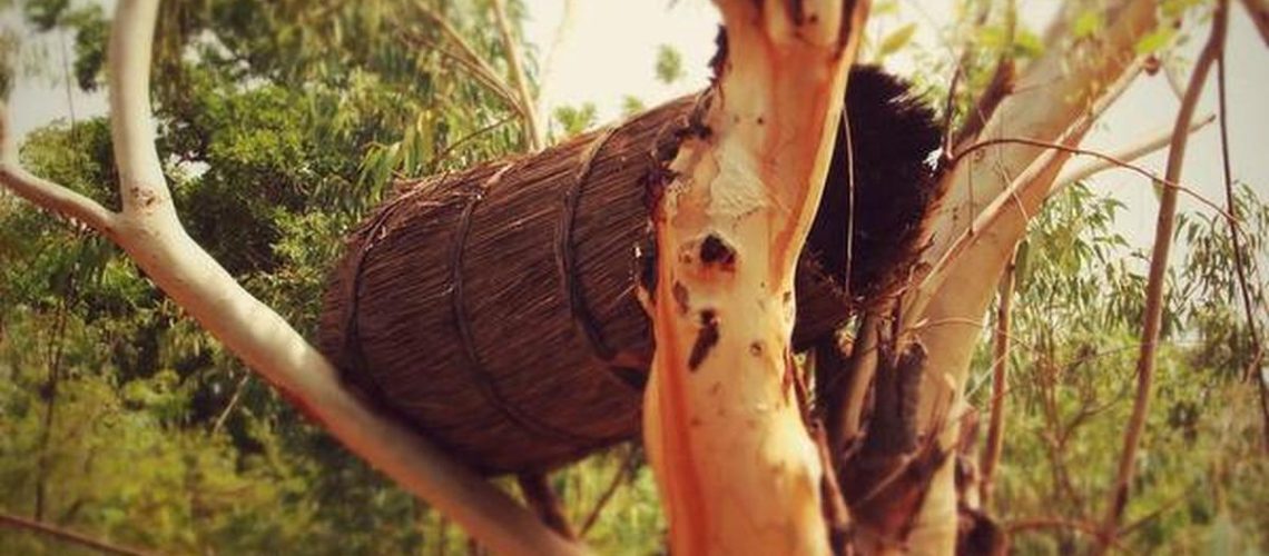 15MPSlowfoodBurkinaFasoTapoaHoney-XLjpg
