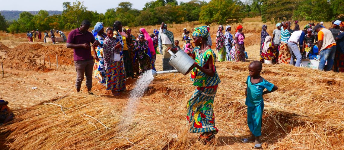 221210_3_ ARSMAIS_ATTIVITÀ sul campo degli AGRICOLTORI post FONDO DI DOTAZIONE dicembre 2022_MALI