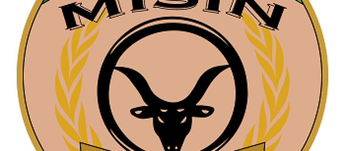 Niger-logo-missione