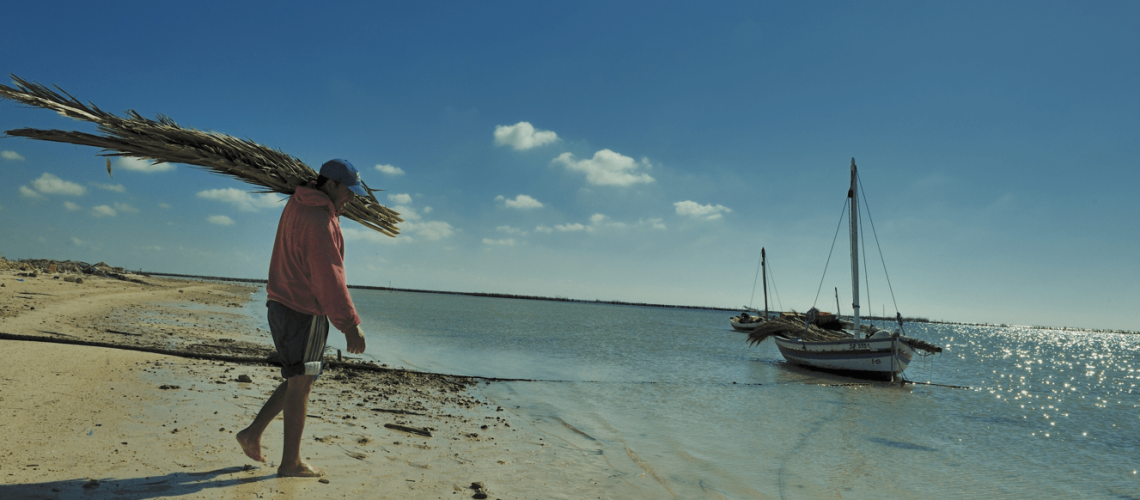 Resilience_Cotiere_Tunisie