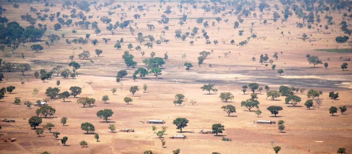 alberi-burkina